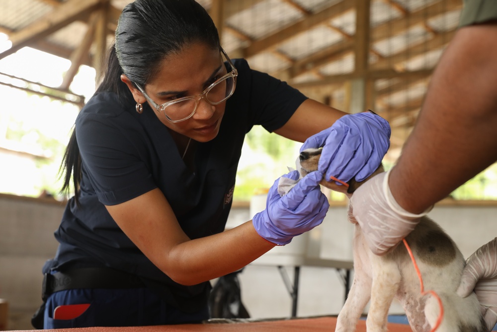 U.S. Army Veterinarian work at Valle La Estrella, Costa Rica, as part of Continuing Promise 2024