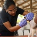 U.S. Army Veterinarian work at Valle La Estrella, Costa Rica, as part of Continuing Promise 2024