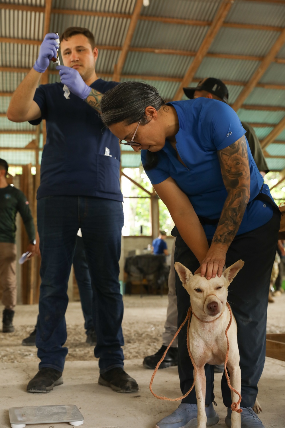 U.S. Army Veterinarian work at Valle La Estrella, Costa Rica, as part of Continuing Promise 2024