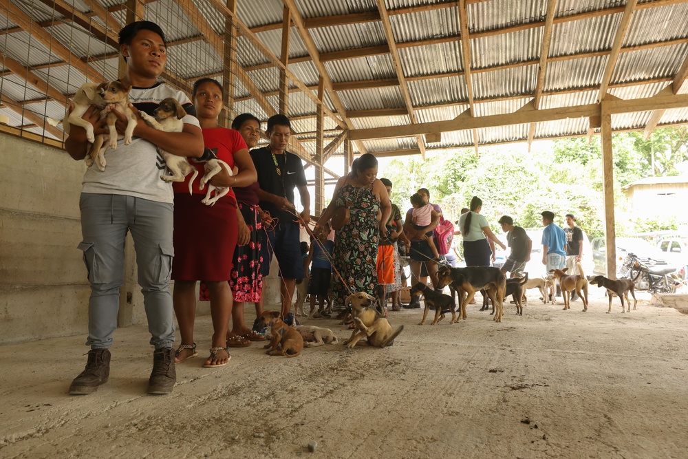 U.S. Army Veterinarian work at Valle La Estrella, Costa Rica, as part of Continuing Promise 2024