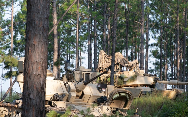 Bradley and Tank on security line