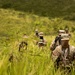 892nd MRBC Land Navigation Re-Familiarization