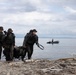 U.S. Marines with Littoral Craft Company Charlie participate in an exercise gauntlet during the Colombian Fluvial Operations Course