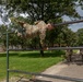 1st Lt.  Michael Vigh hurdles