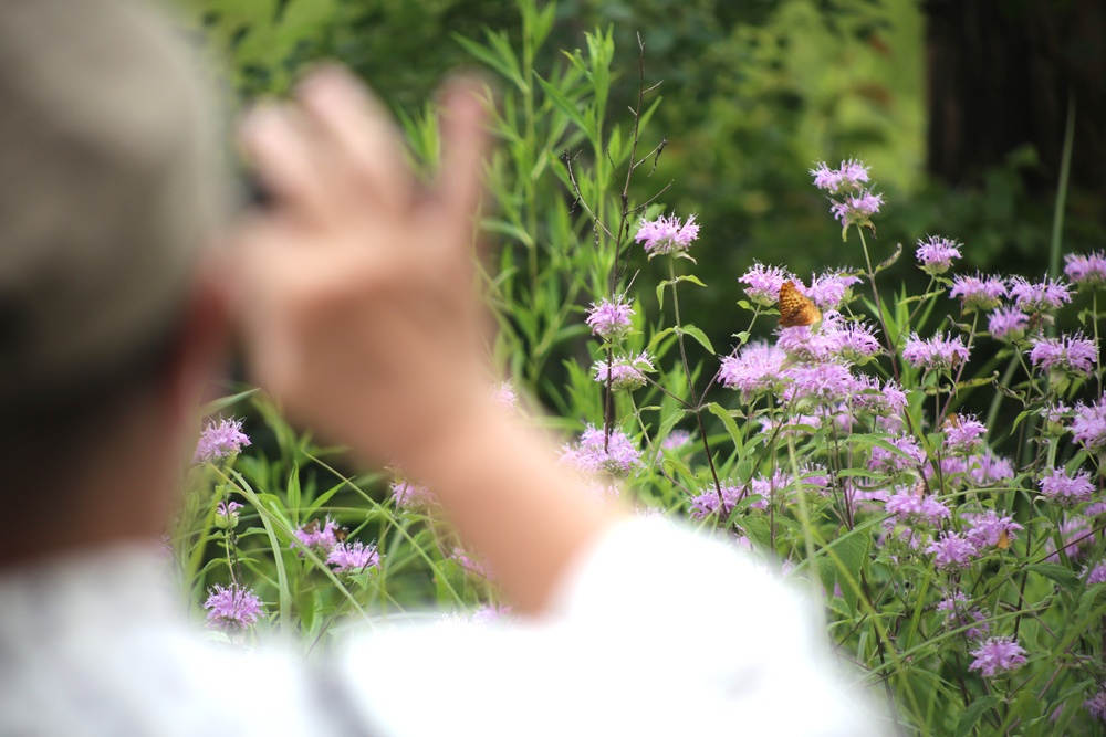 Fort McCoy supports 2024 butterfly field day for special group dedicated to natural resources care, management