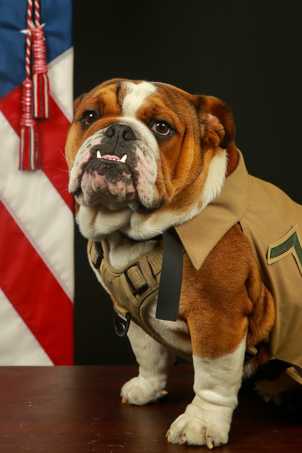 Pfc. Bruno Official Photo