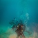 U.S. Coast Guard and Republic of Korea Navy Underwater Construction Team divers recover a sunken buoy during RIMPAC 2024