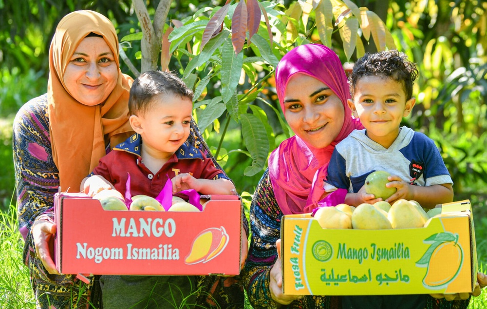 Female Egyptian Farmer in Ismailia, Egypt becomes community nutrition advocate