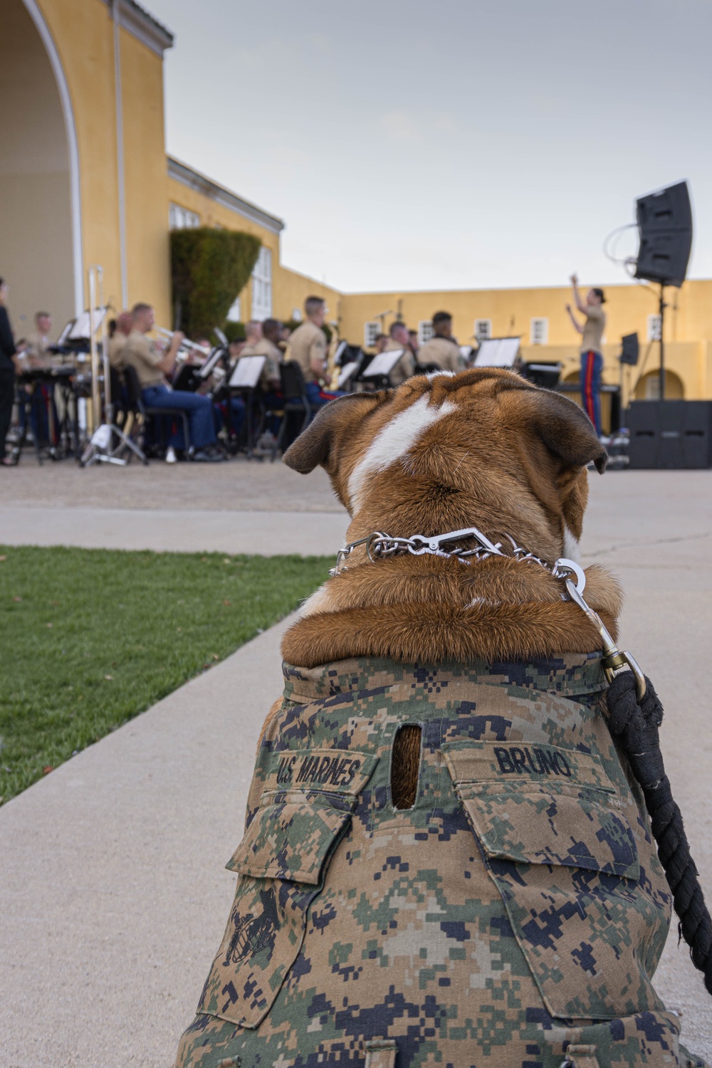 Marine Band San Diego Summer Concert