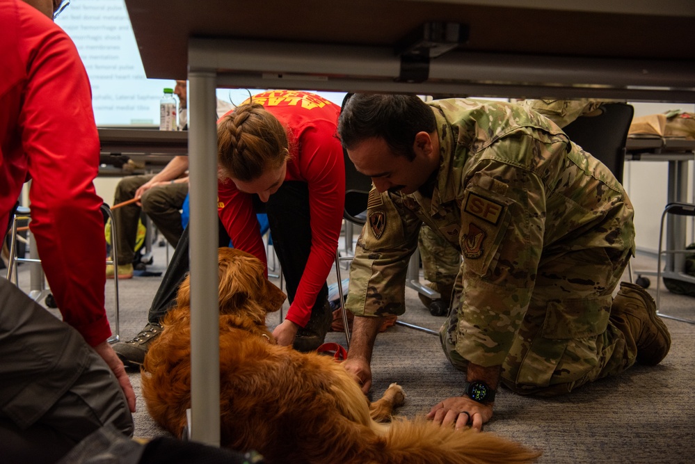 JBER provides K9 TCCC training for military, non-military service dogs