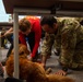 JBER provides K9 TCCC training for military, non-military service dogs