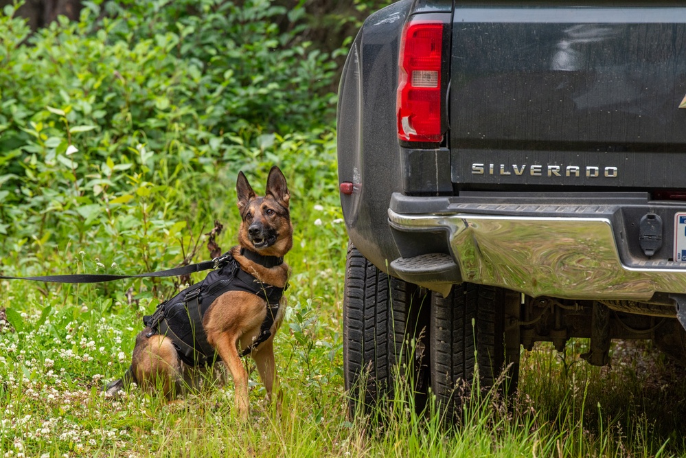 JBER provides K9 TCCC training for military, non-military service dogs