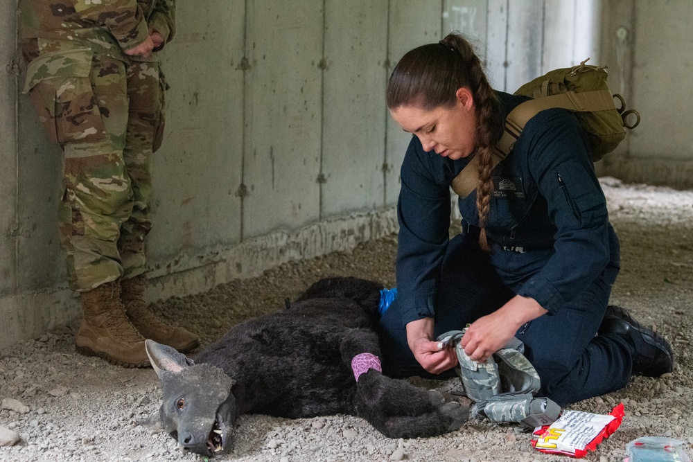 JBER provides K9 TCCC training for military, non-military service dogs