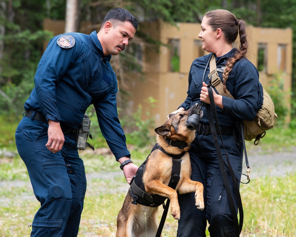 JBER provides K9 TCCC training for military, non-military service dogs