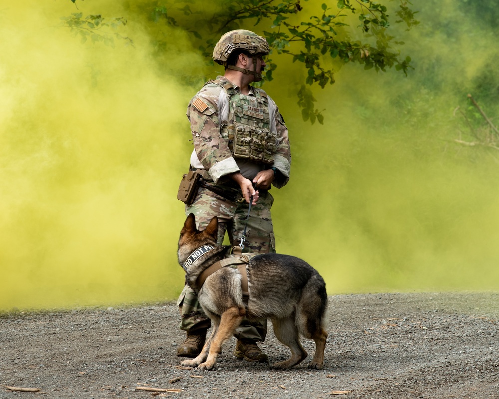 JBER provides K9 TCCC training for military, non-military service dogs