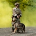 JBER provides K9 TCCC training for military, non-military service dogs