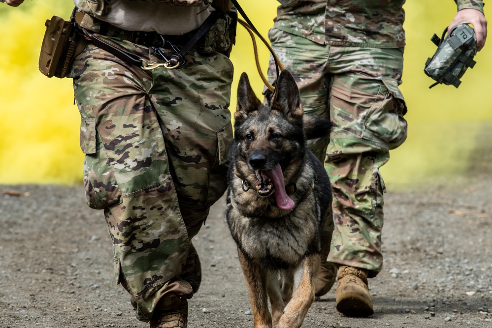 JBER provides K9 TCCC training for military, non-military service dogs