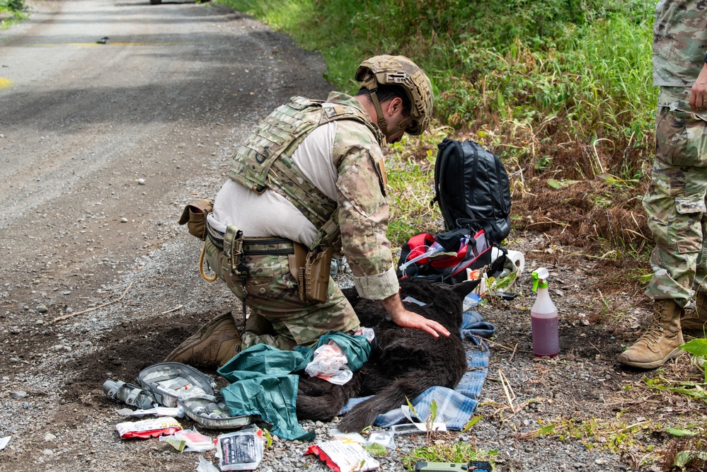 JBER provides K9 TCCC training for military, non-military service dogs