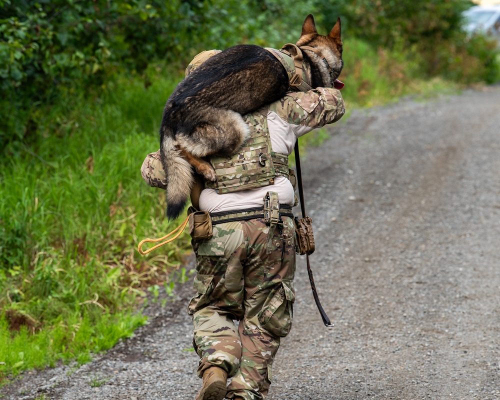 JBER provides K9 TCCC training for military, non-military service dogs