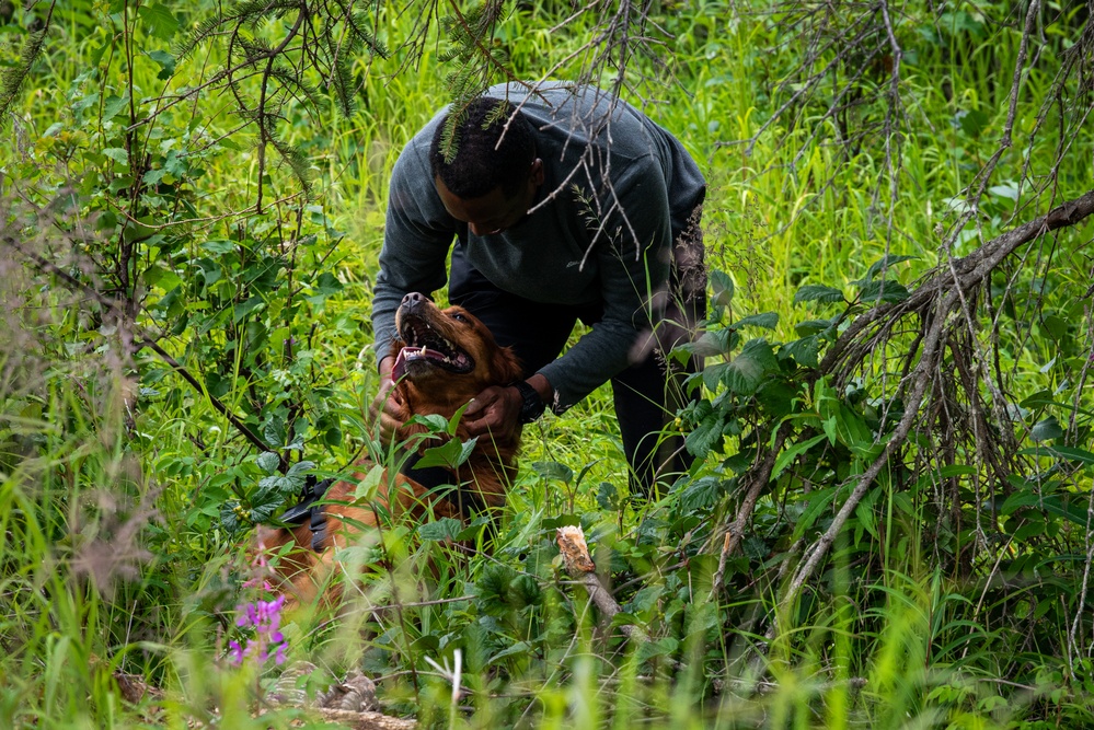 JBER provides K9 TCCC training for military, non-military service dogs