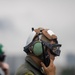 Ready for Takeoff! | VMFA (AW)-224 Marines Conduct Flight Operations at Suwon AB South Korea