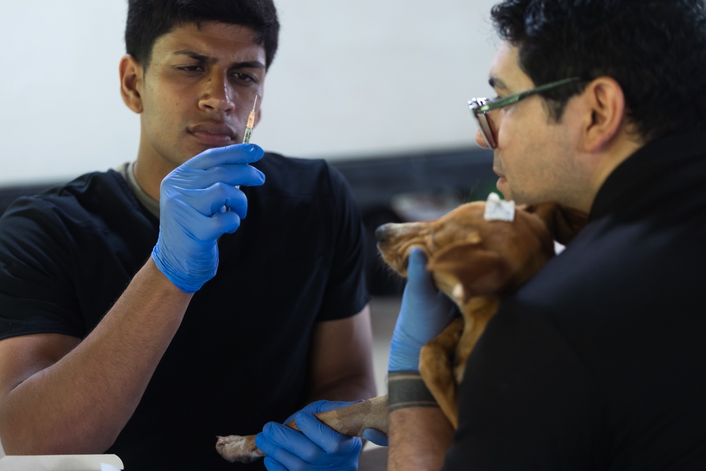 Continuing Promise 2024 personnel provide veterinary assistance in Cabécar, Costa Rica