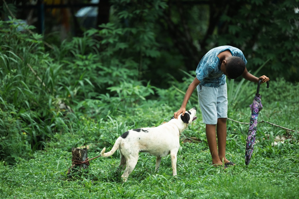 Continuing Promise 2024 personnel provide veterinary assistance in Cabécar, Costa Rica