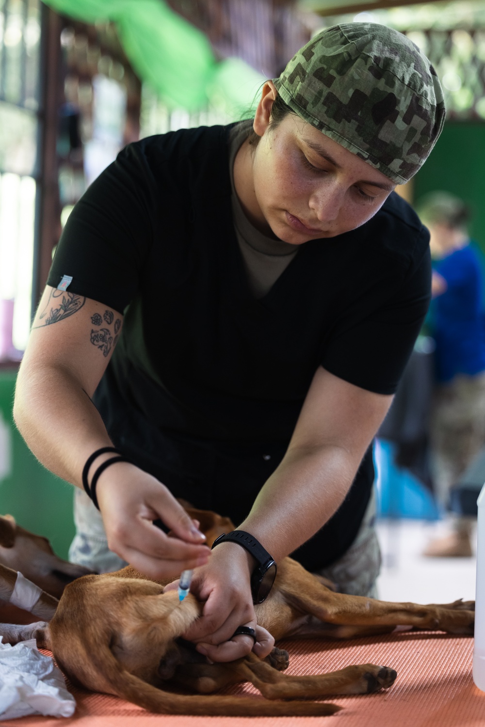 Continuing Promise 2024 personnel provide veterinary assistance in Cabécar, Costa Rica