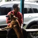 Continuing Promise 2024 personnel provide veterinary assistance in Cabécar, Costa Rica