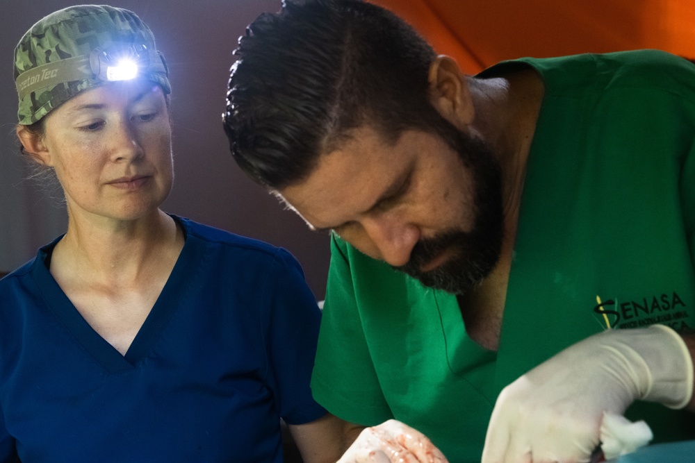 Continuing Promise 2024 personnel provide veterinary assistance in Cabécar, Costa Rica