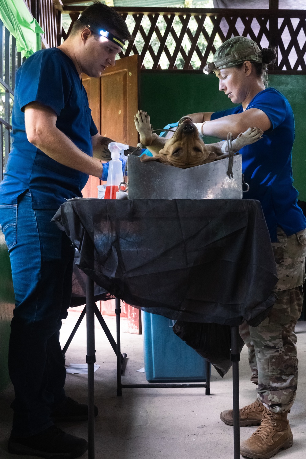 Continuing Promise 2024 personnel provide veterinary assistance in Cabécar, Costa Rica