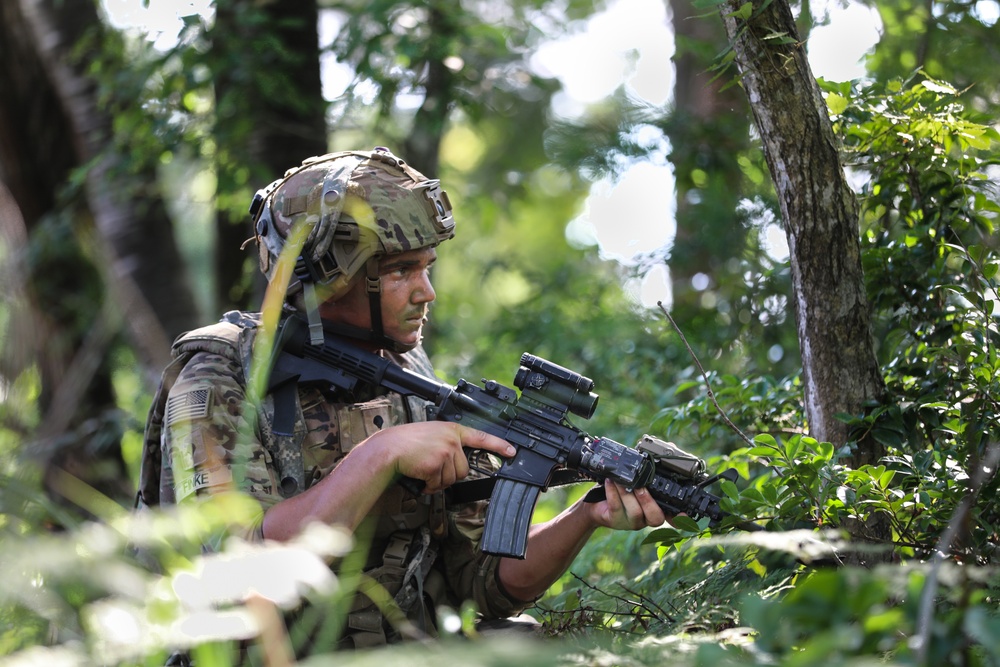 Orient Shield 24 Mortar FTX