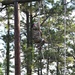 Special Forces Hopefulls Take on Obstacle Course During Assessment and Selection