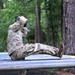 Special Forces Hopefulls Take on Obstacle Course During Assessment and Selection