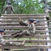 Special Forces Hopefulls Take on Obstacle Course During Assessment and Selection