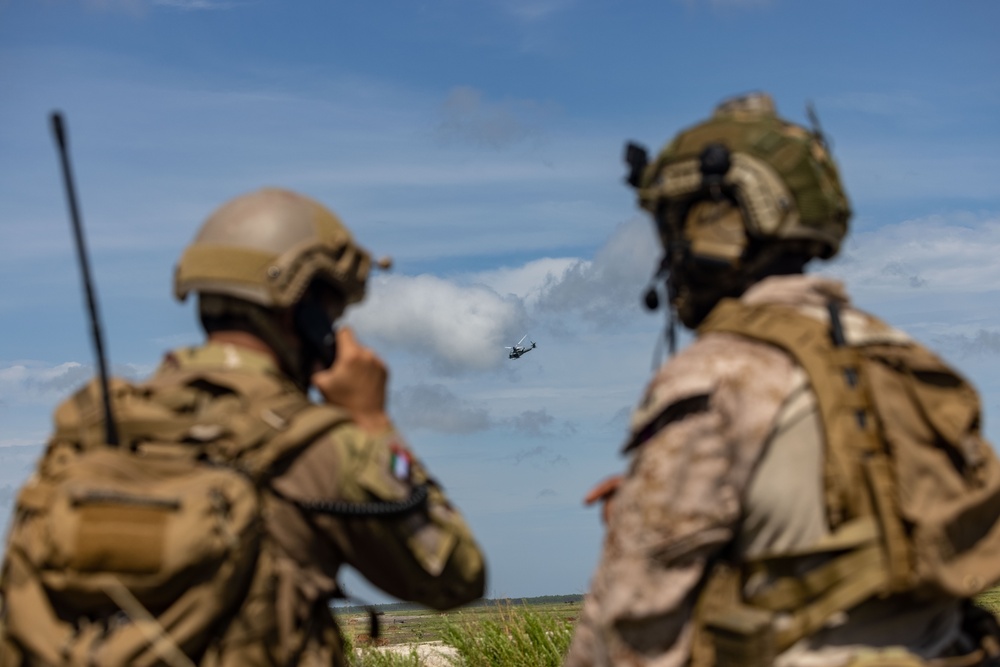 2nd ANGLICO and United Arab Emirates Conduct Close Air Support