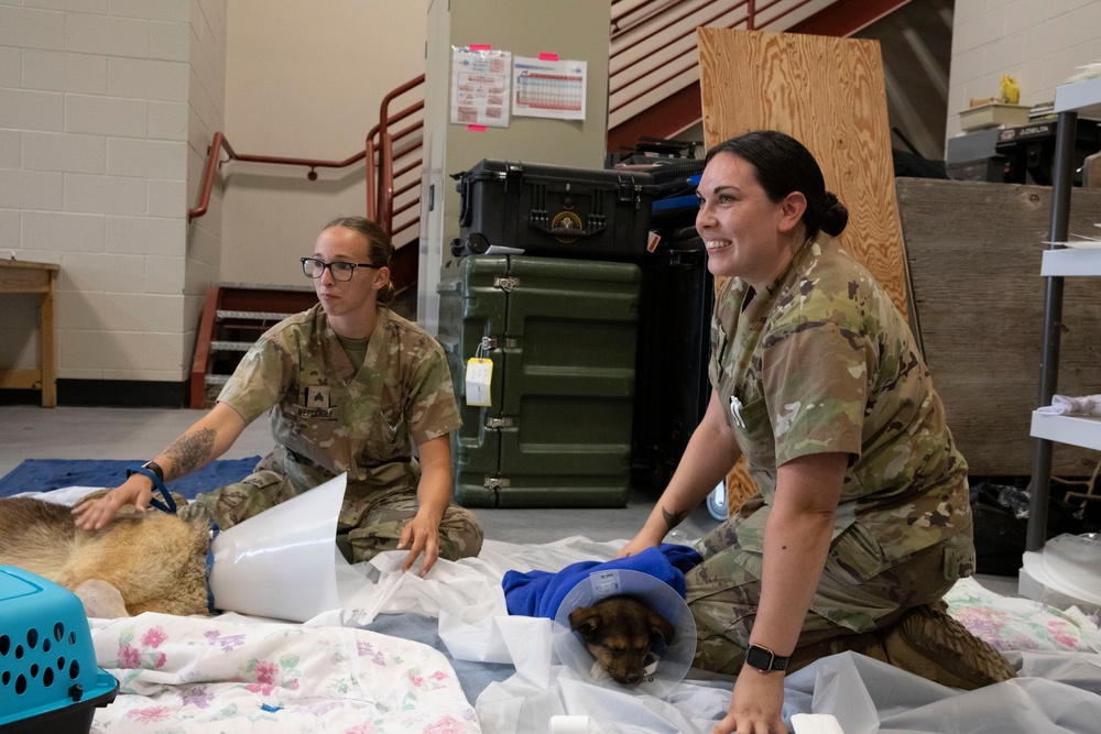 Blackfeet Tribal Health Operation Walking Shield Innovative Readiness Training