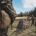 3d LLB conducts Helicopter Support Team training at Kahuku Training Area