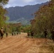 Charlie vs. Charlie: BLT 1/5, 3d LCT Conduct Force on Force Training