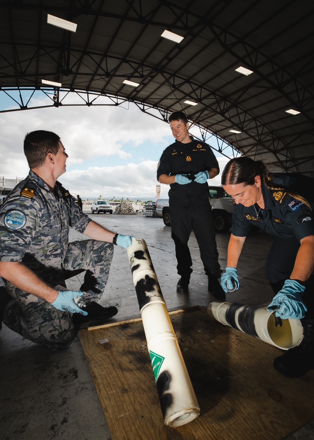 partner nations at MNLSE