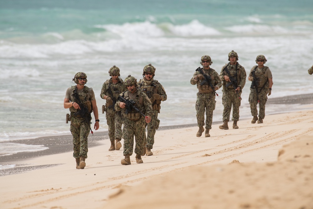 U.S. Coast Guard Port Security Performs as OPFOR during RIMPAC 2024