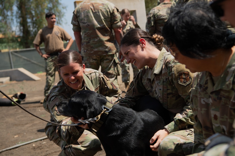 149th Med Group MFAT