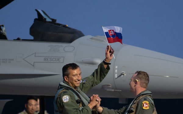 122nd Fighter Wing pilot delivers Slovakia's first F-16s
