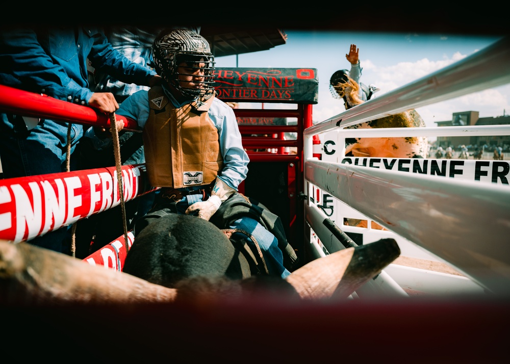 The Bull Rider