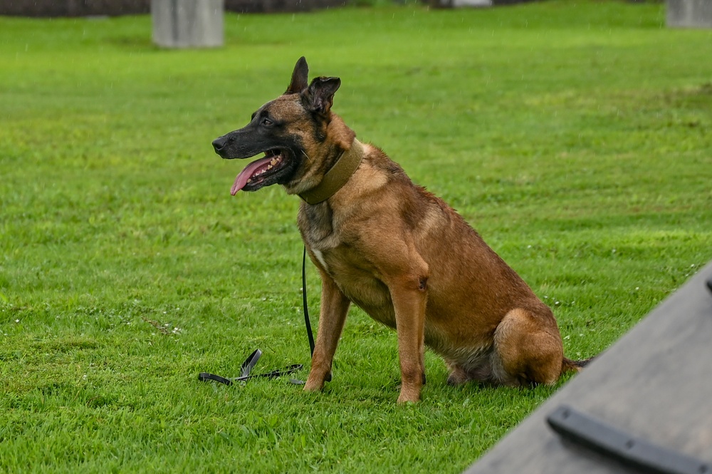 155th Emergency Management works with K-9 Unit at Yokota Air Base