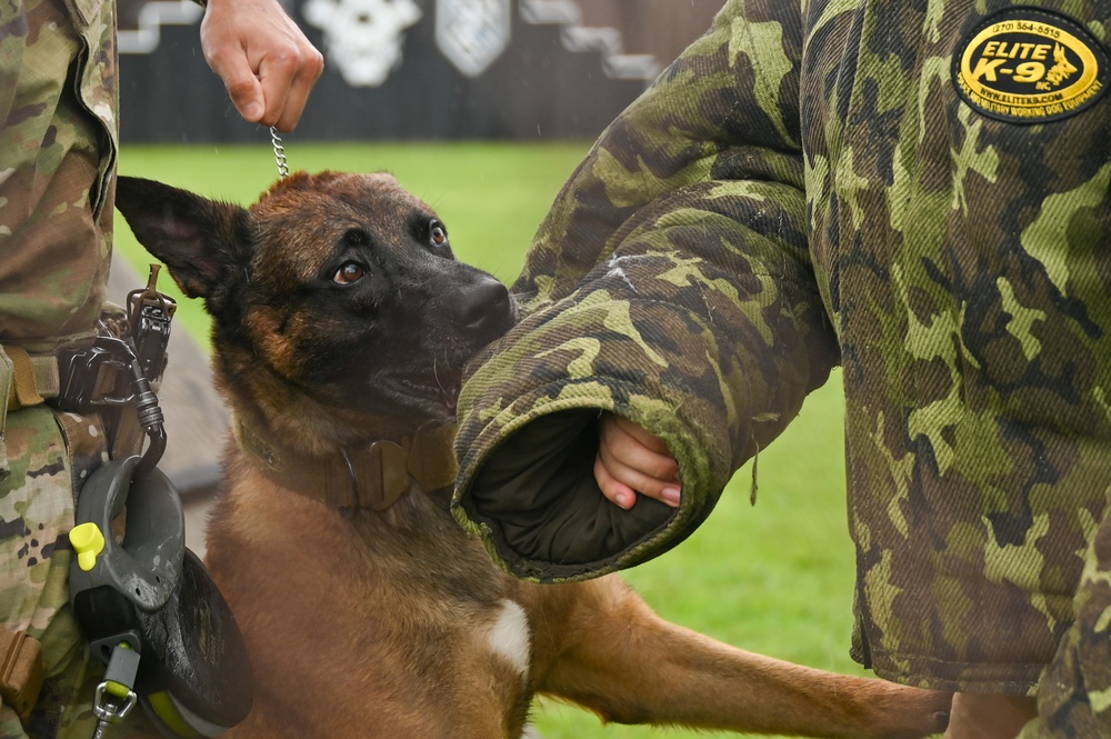 155th Emergency Management works with K-9 Unit at Yokota Air Base