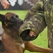 155th Emergency Management works with K-9 Unit at Yokota Air Base