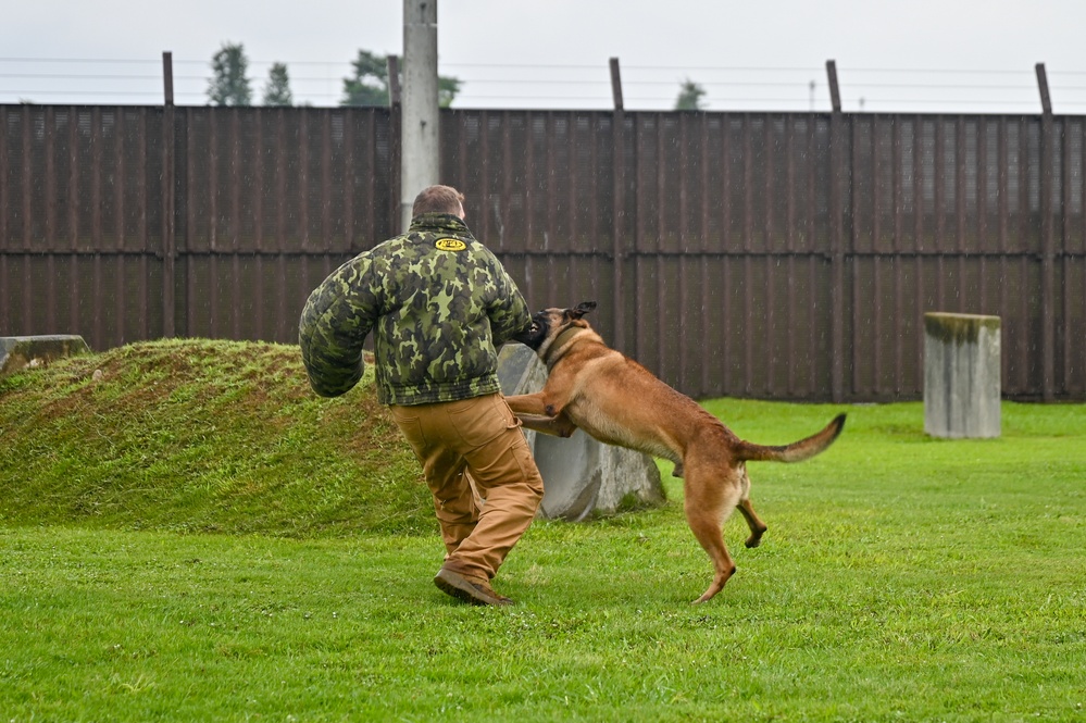 155th Emergency Management works with K-9 Unit at Yokota Air Base