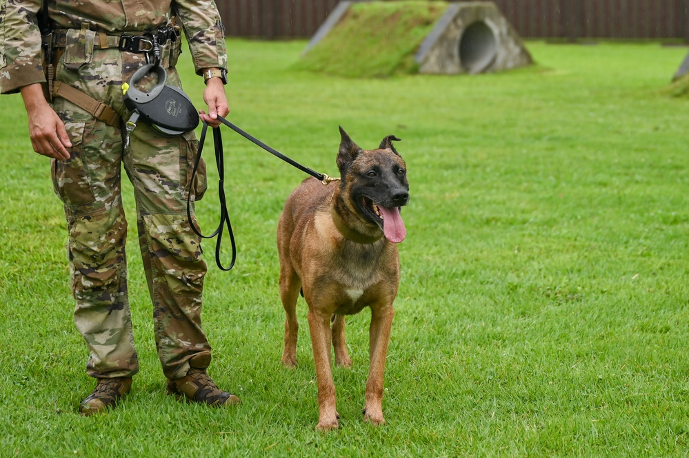 155th Emergency Management works with K-9 Unit at Yokota Air Base