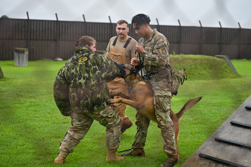 155th Emergency Management works with K-9 Unit at Yokota Air Base